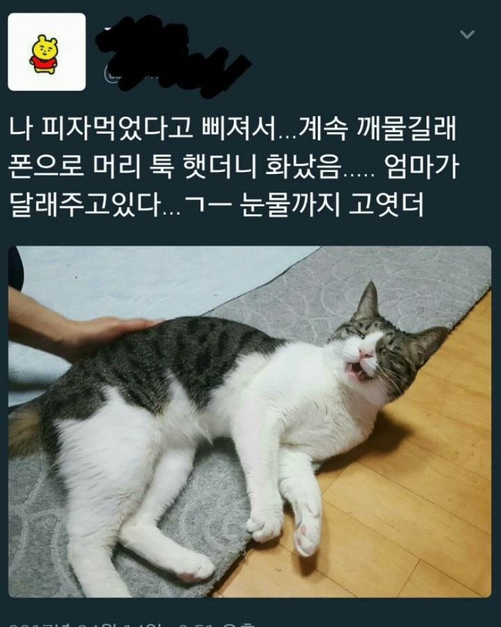 lovx11_very's tweet photo. https://t.co/tDbO31TGuV