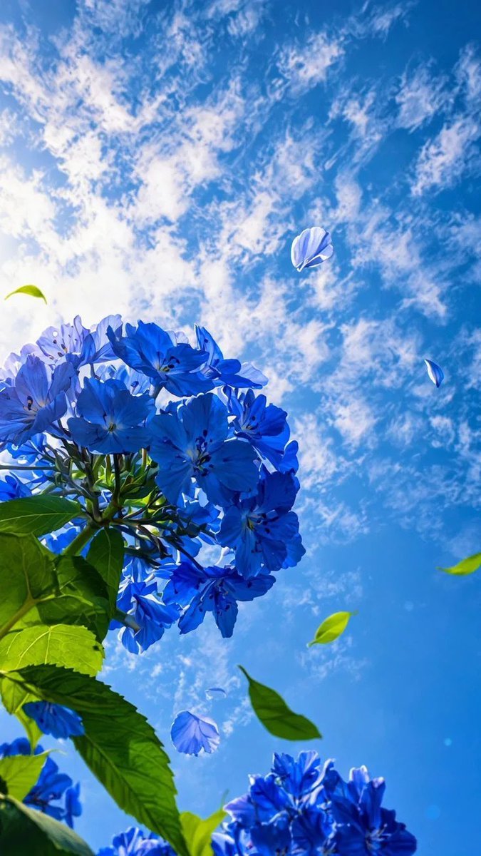 Pure Nature ✨ tweet media