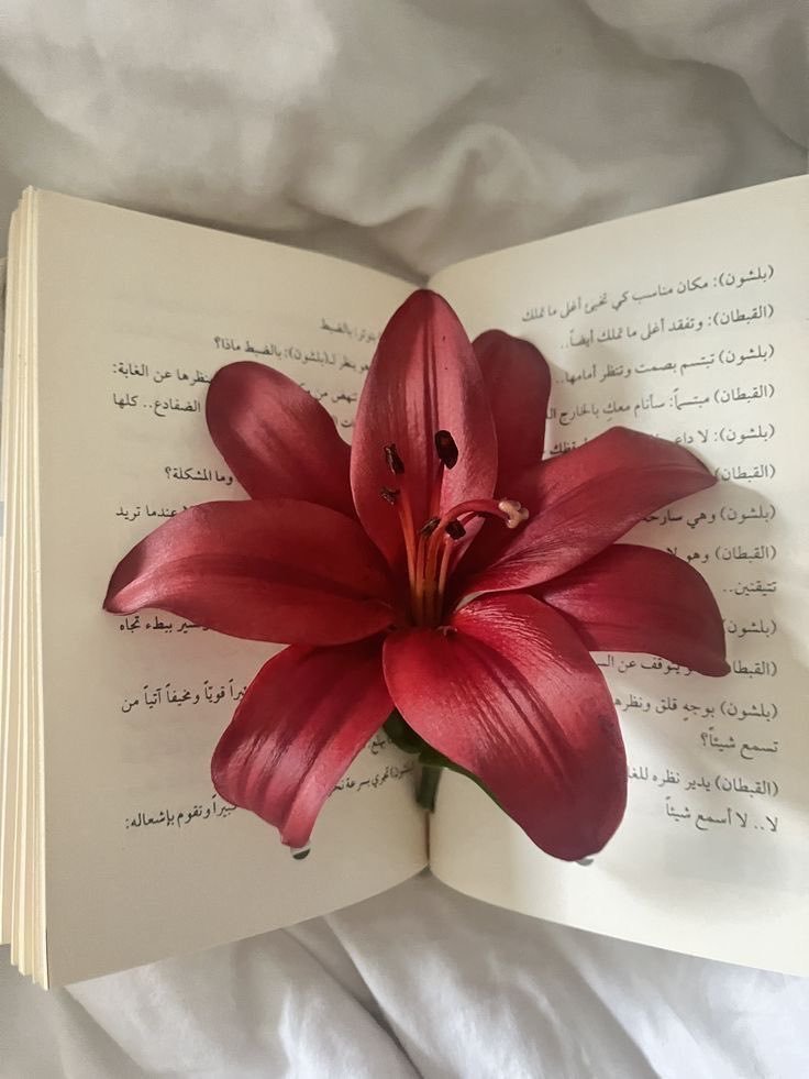 floraldiaryyy's tweet photo. https://t.co/pa2SBra2Wn