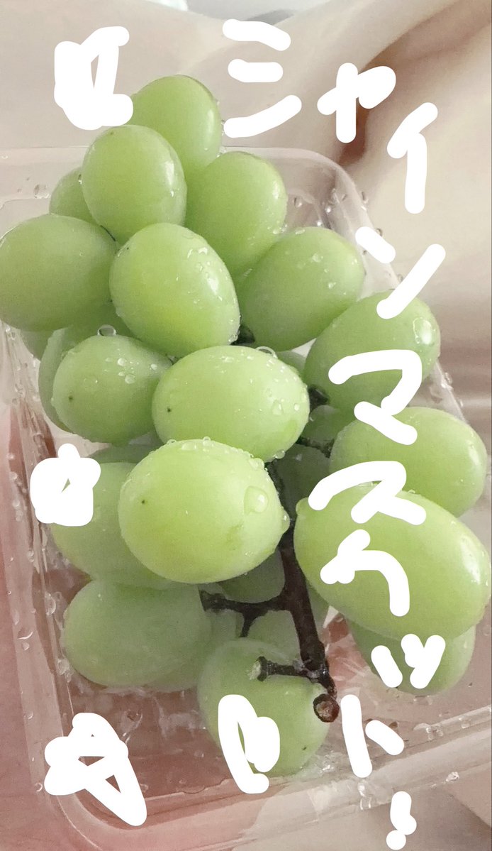 mahito_sub1214's tweet photo. 今日何食べたの͈ᴗ̀ ̫ᴗ́ ͈

まひちゃんにおしえて😾

ぼくは最近激ハマリのシャインマスカット·͜·ᰔᩚ https://t.co/BakPGNkOUy