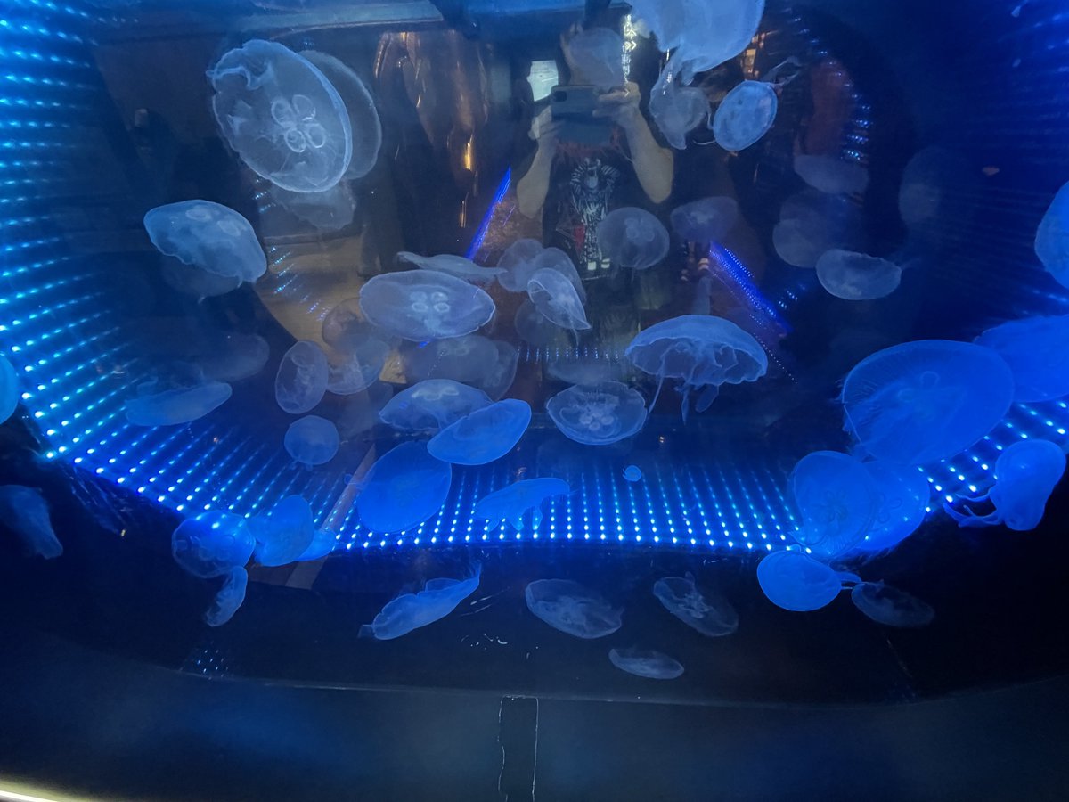 fapuko9kid's tweet photo. 地獄と水族館連れてってもらたよ https://t.co/CTl71N0Jl7