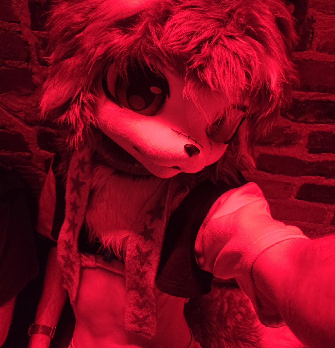 SolaceCatBat_AD's tweet photo. Everyone at the club was either too polite or too shy. Hmph. Get handsy! I want it! https://t.co/D6Y2ZaVoMR