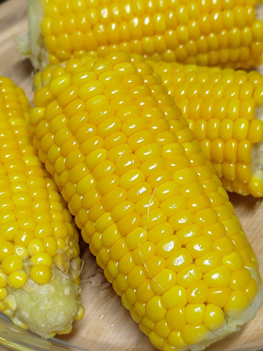 TaplaTone's tweet photo. ばぶ🐦‍⬛と張り合えるむちむち感😌🌽 https://t.co/mZJVE4qcKT