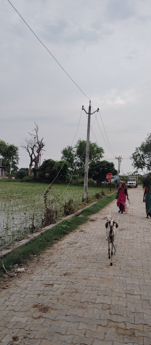 imrahul210's tweet photo. माननीय @UPPCLLKO,

ग्राम खेरिया, पोस्ट जमों, ब्लॉक जलेसर, जनपद एटा (बरनी फीडर) में कई बिजली के पोल 2 वर्षों से टूटे हैं। कृपया तत्काल पोल बदलवाकर सुरक्षित बिजली आपूर्ति सुनिश्चित करें।

#UPPCL #Etah https://t.co/jBxO3ZTe3N