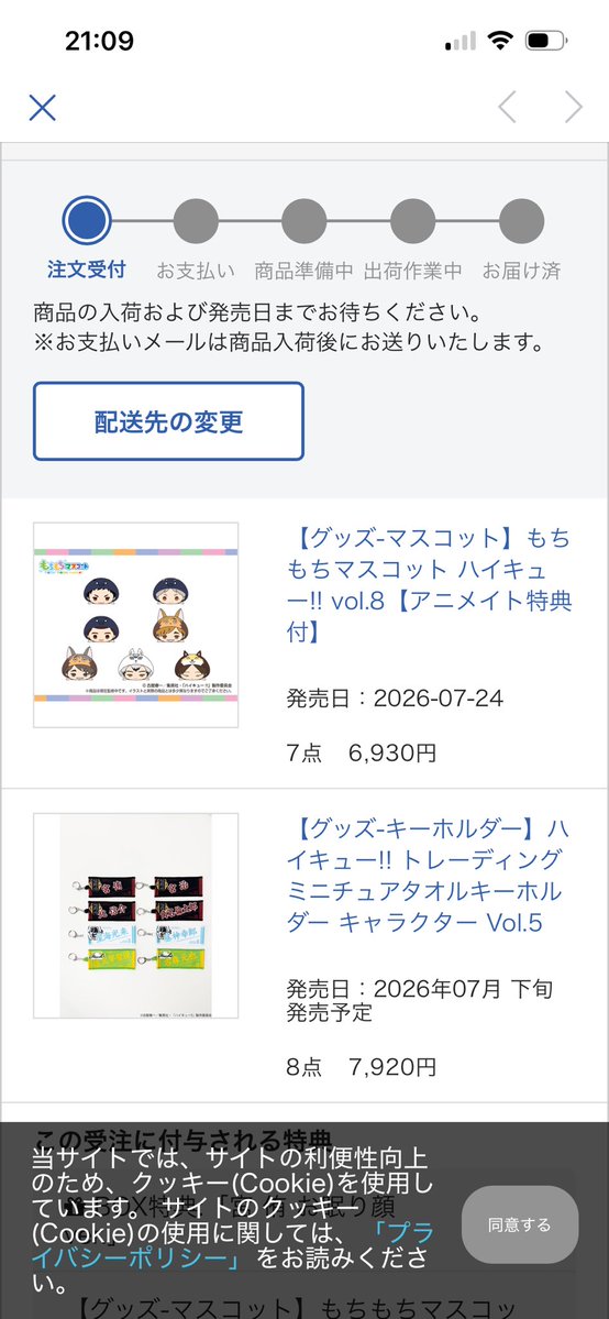 ncf_h's tweet photo. まだこの状態…タオルキーホルダーもtohoだったらもう入荷してるのにメイトの通販遅すぎる…（ ;  ; ） https://t.co/viAhQSkPXK