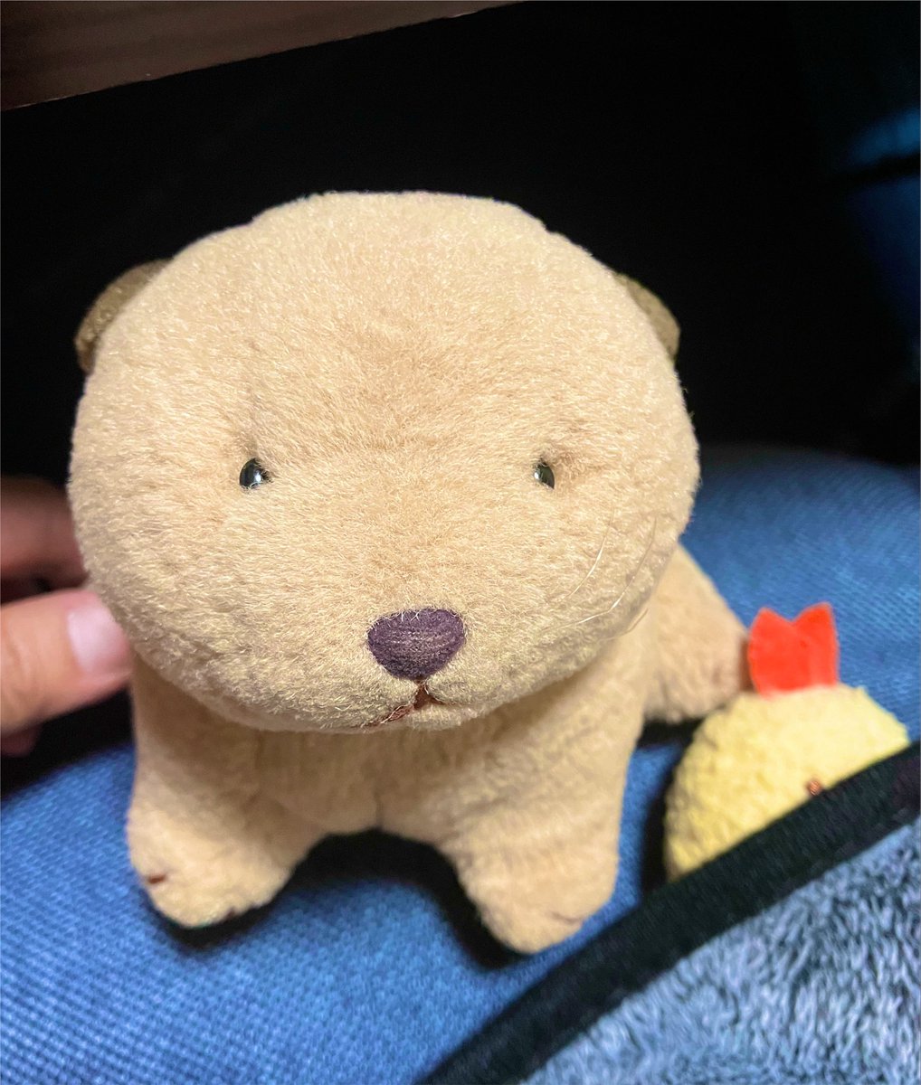 pirin_cute's tweet photo. おかあさんがもう寝なさいって… https://t.co/NpB9VwA50E