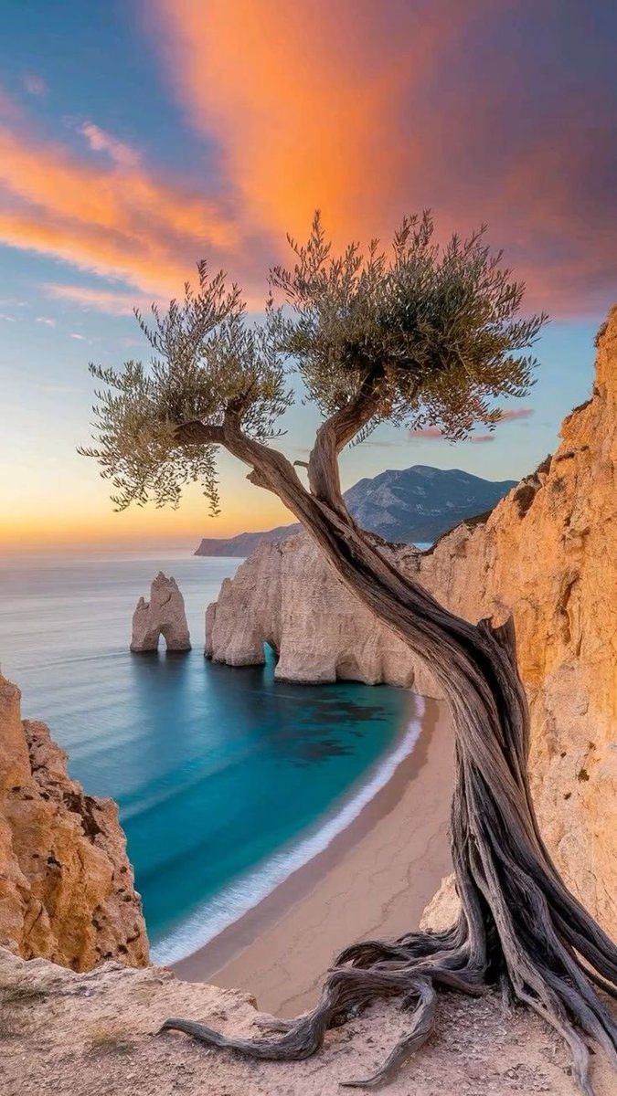 Pure Nature ✨ tweet media