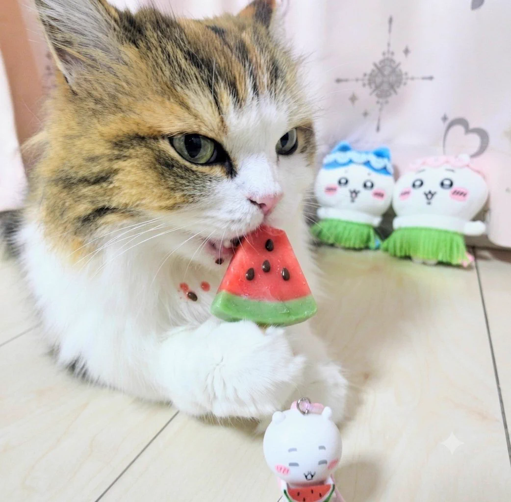 ぐでねこちゃんチャーム　スイカ まちゃこ😻🍬 on X: 