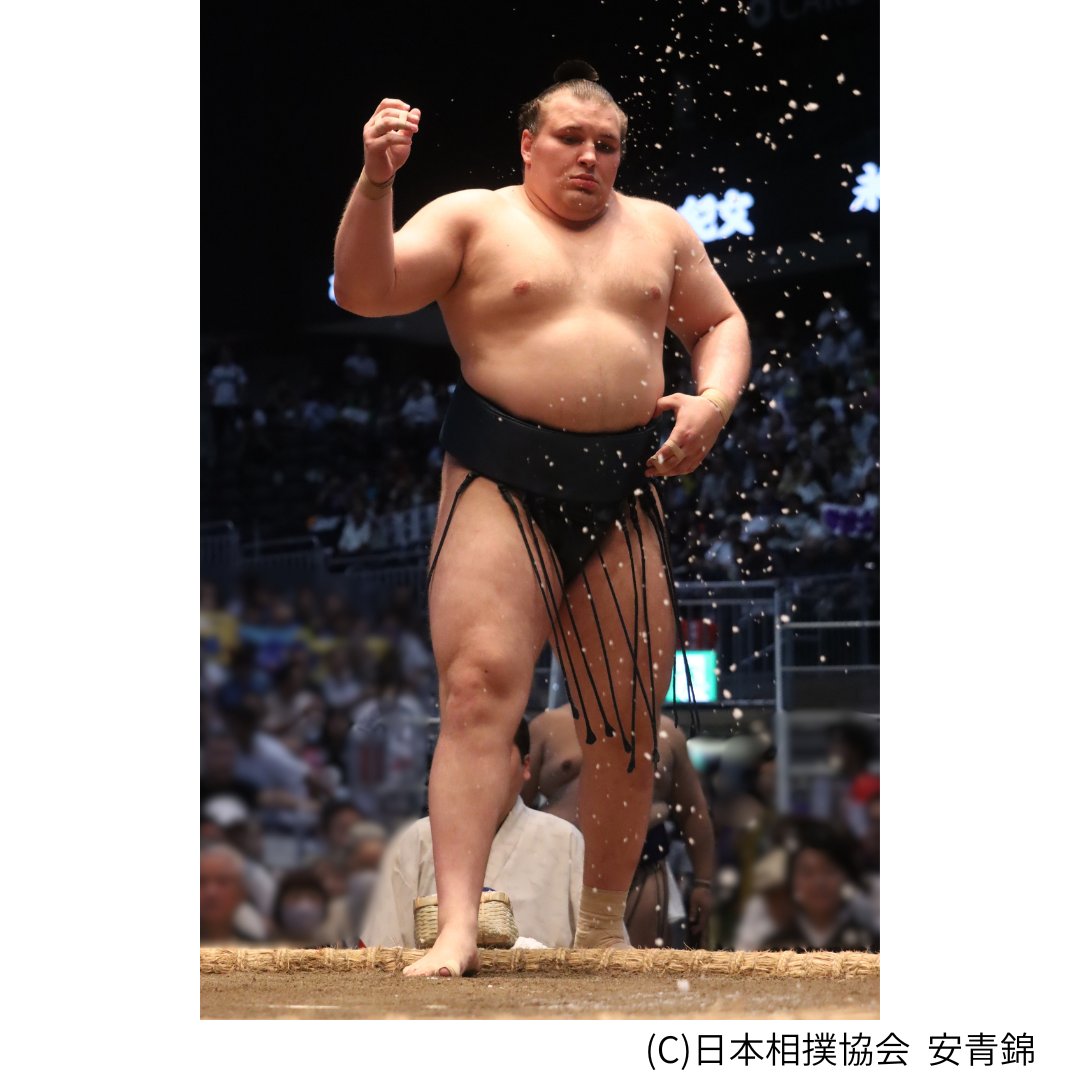大相撲  チケット 📢【#大相撲九月場所】開催！ ＼ 📅9/13(日) ～ 9/27(日) 📍両国国技館