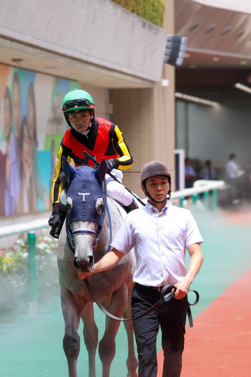 nemui_nova's tweet photo. 可愛かったデビュー戦見れて嬉しい✨️
#ヴェルバーニア🥉 #戸崎圭太 騎手 https://t.co/yYPJwnM68K