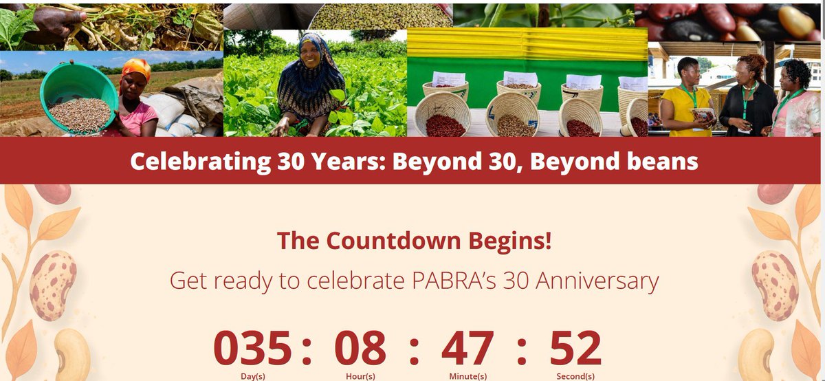 _PABRA's tweet photo. โณTick. Tock. #PABRA30 is getting closer! Dive into our Anniversary Landing Page to celebrate 30 years of impact thru milestones, stories, publications, the people behind Africa's bean revolution, & partnership opportunities. #BeyondBeans
๐ https://t.co/MsuVOCE95G https://t.co/uwuB13pvrl