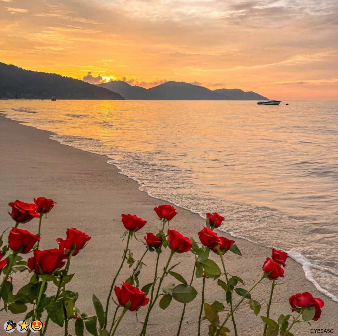 MiddletonL54922's tweet photo. 🎉文援💯自慰🥳日常大赛🌟固聊💖剧情🤩师生😍御姐😁性瘾🤩恋母💝手冲😋扣水🌸湿身😎潮喷🙌窥阴❤️肉便器😀羞耻🎊淫妻🎉滴蜡💪灌肠💖玉足

企鹅裙：1818089
X：@zhien52000
飞机：zuoyi1v1
裸聊/连麦/文爱/调教/寸止 https://t.co/28R7n4KdGB