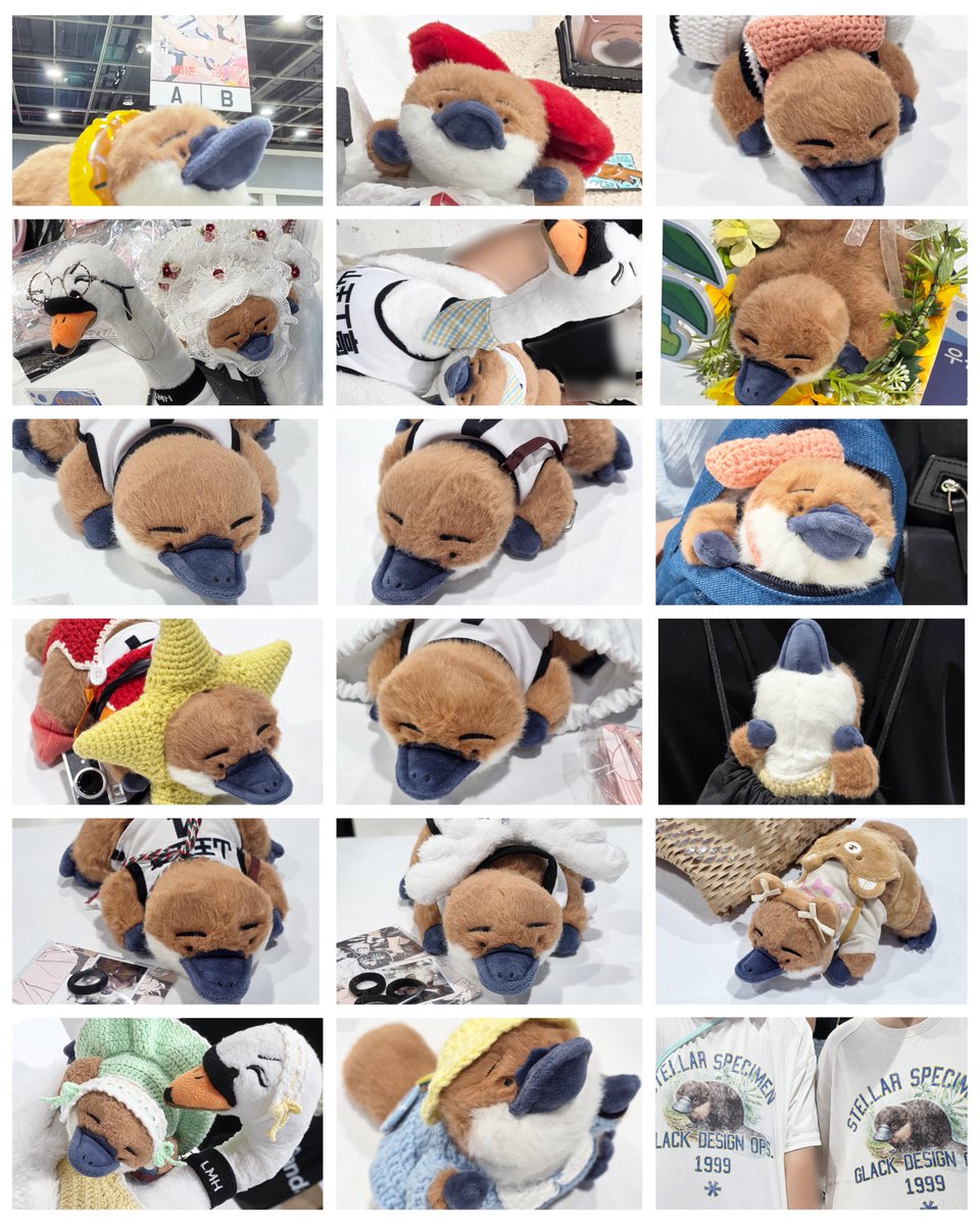 gonggusa's tweet photo. -아이들 방문 선물 고무줄은 뿅구리가 양 손목용에도 착용할 수 있도록 4개입니다ㅎㅎ 뿅술공주에 맞춰주려고 샀던 거라 베시 명헌이가 베이스였어요

-의외로 뇽쫀쿠를 찾아들 주셔서 업체에 문의 결과 최소 수량 없는 제작 협조를 얻었습니다. 8월 중 시작하여 우성온 수령, 통판으로 2차 진행합니다 https://t.co/39dWbUZ3v2