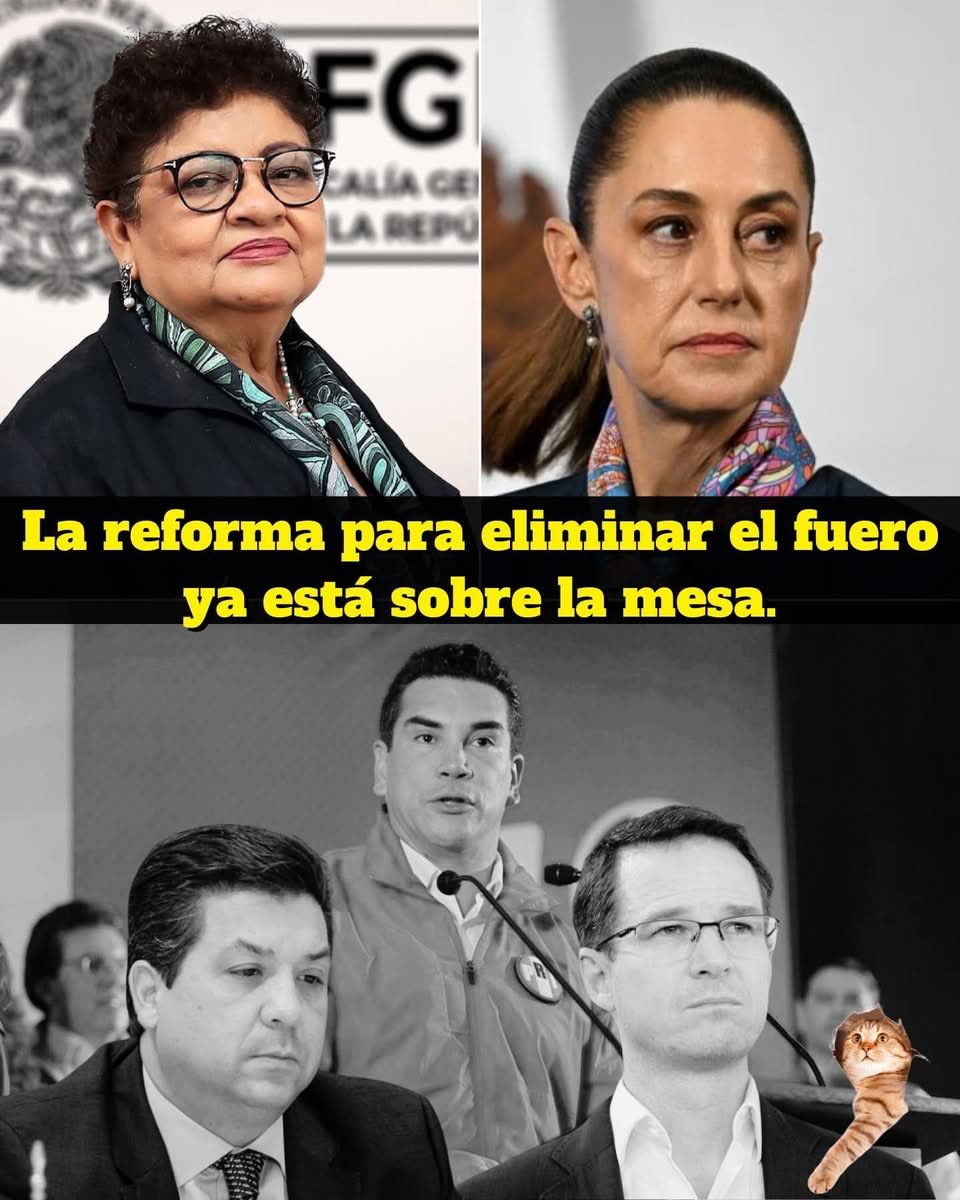 JORDELAS1's tweet photo. Es el remedio 
Pero la mayoría de Morena no quiere aprobar, incluido el mcprian. https://t.co/kDXzfzuvrO
