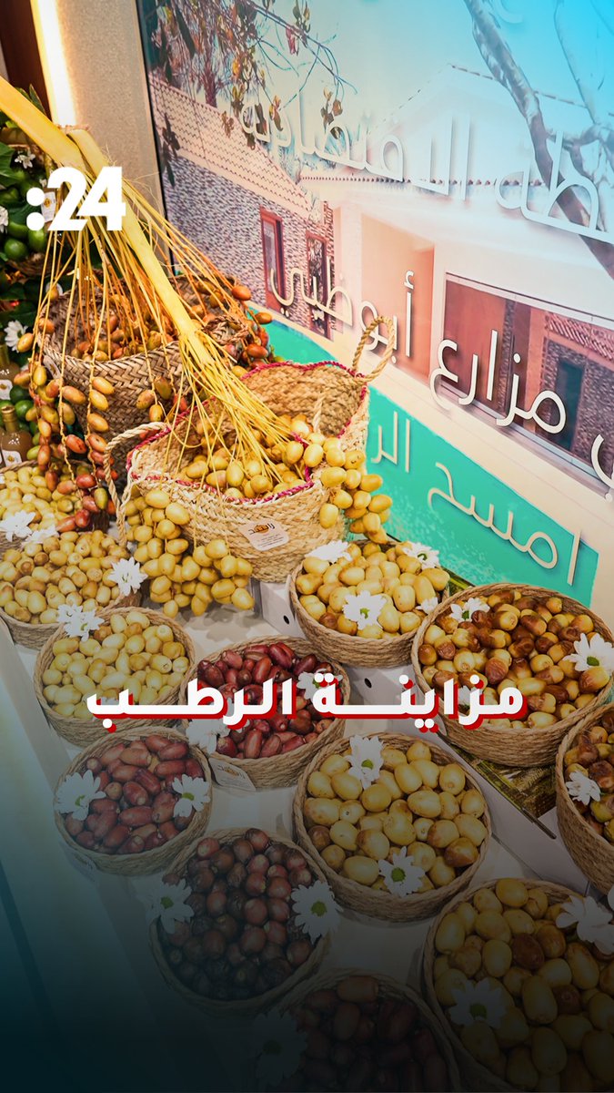 منافسة مزاينة الرطب في مهرجان العين للرطب.. ما الذي يميز أفضل المحاصيل؟ 