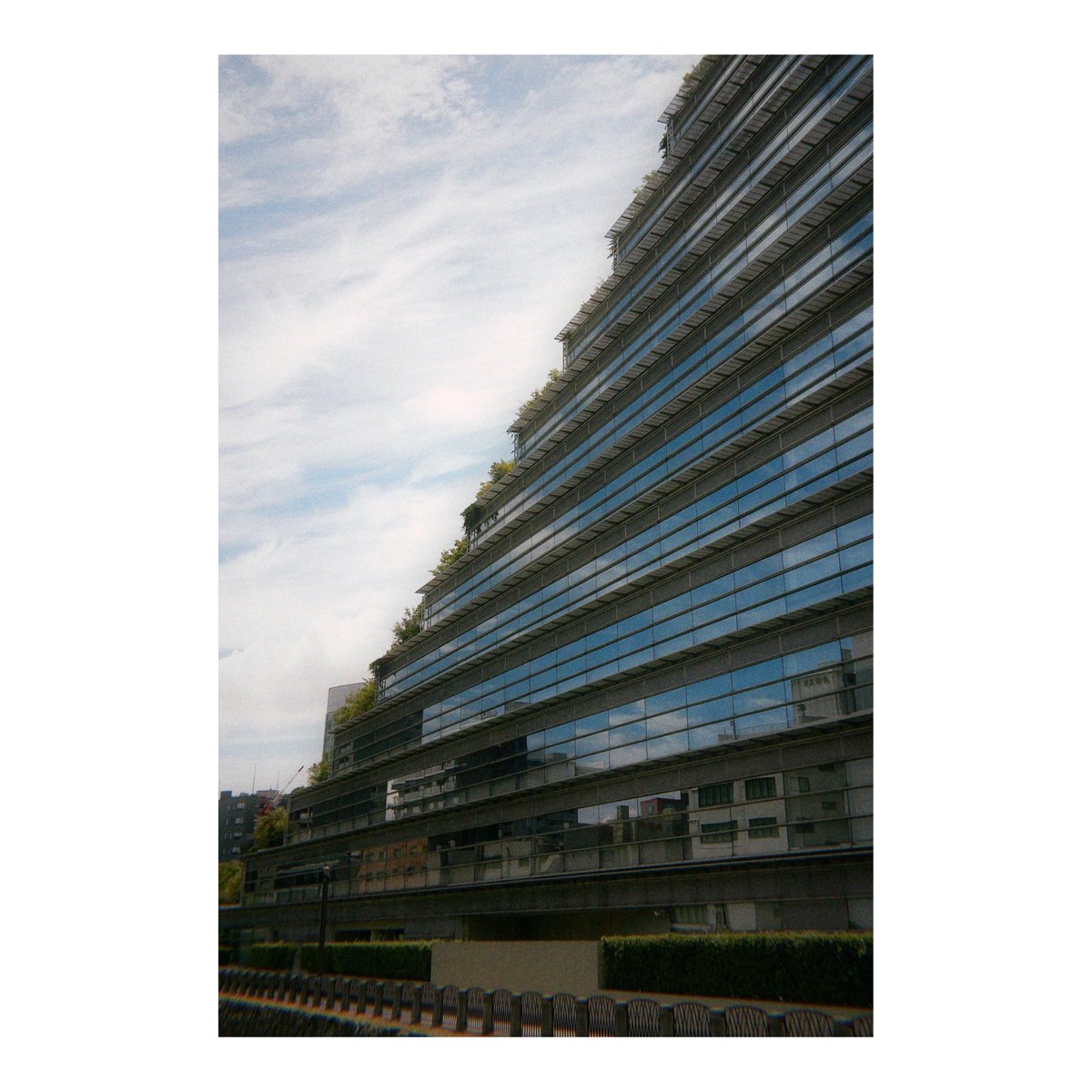 menthol100's tweet photo. Shot on Flashback ONE35 v2
#flashback https://t.co/eZg6bj42ab