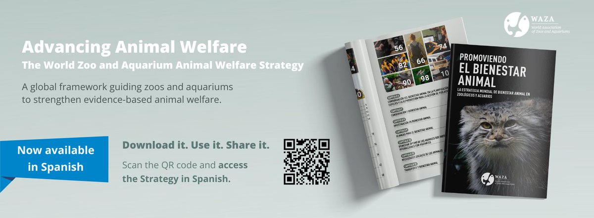 waza's tweet photo. 🚨The WAZA Animal Welfare Strategy is now available in Spanish, making this important global framework accessible to even more members of the zoo and aquarium community.

WAZA extends its sincere thanks to @alpza_latam for its work on the translation.

🔗https://t.co/G3oT1U0LMe https://t.co/RWkLaUTkKu