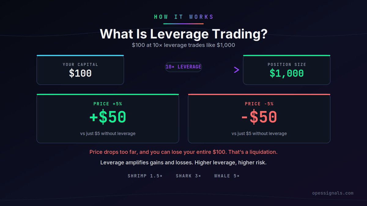 OpesSignals's tweet photo. Leverage trading is coming to OpesSignals! 🔥

Sizing scales with your tier, not a flat multiplier for everyone:

Shrimp (10K+ $ROAI): 1.5x
Shark (100K+ $ROAI): 3x
Whale (1M+ $ROAI): 5x

Stack your $ROAI, climb your tier, and get ready to trade every call with real size.

https://t.co/IE6xBs6mDd