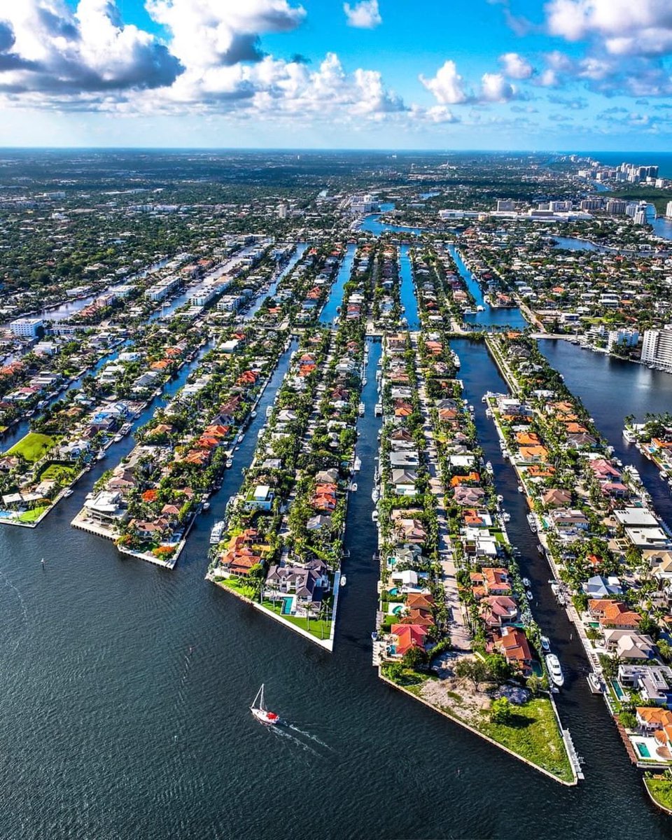 NatureRoot88's tweet photo. Fort Lauderdale, Florida 🇺🇸 https://t.co/LOKvyNaHQz
