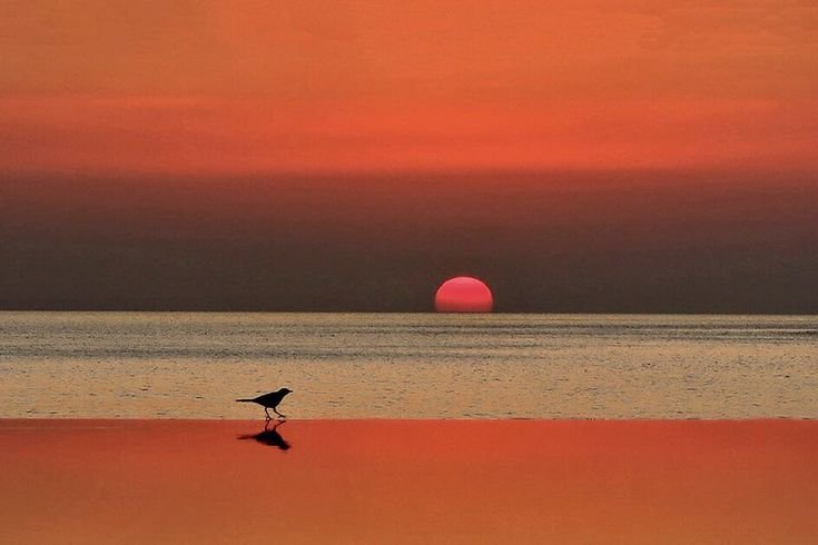 kooromi19's tweet photo. sunset is nature’s most peaceful transition https://t.co/s8yvCUDgzA