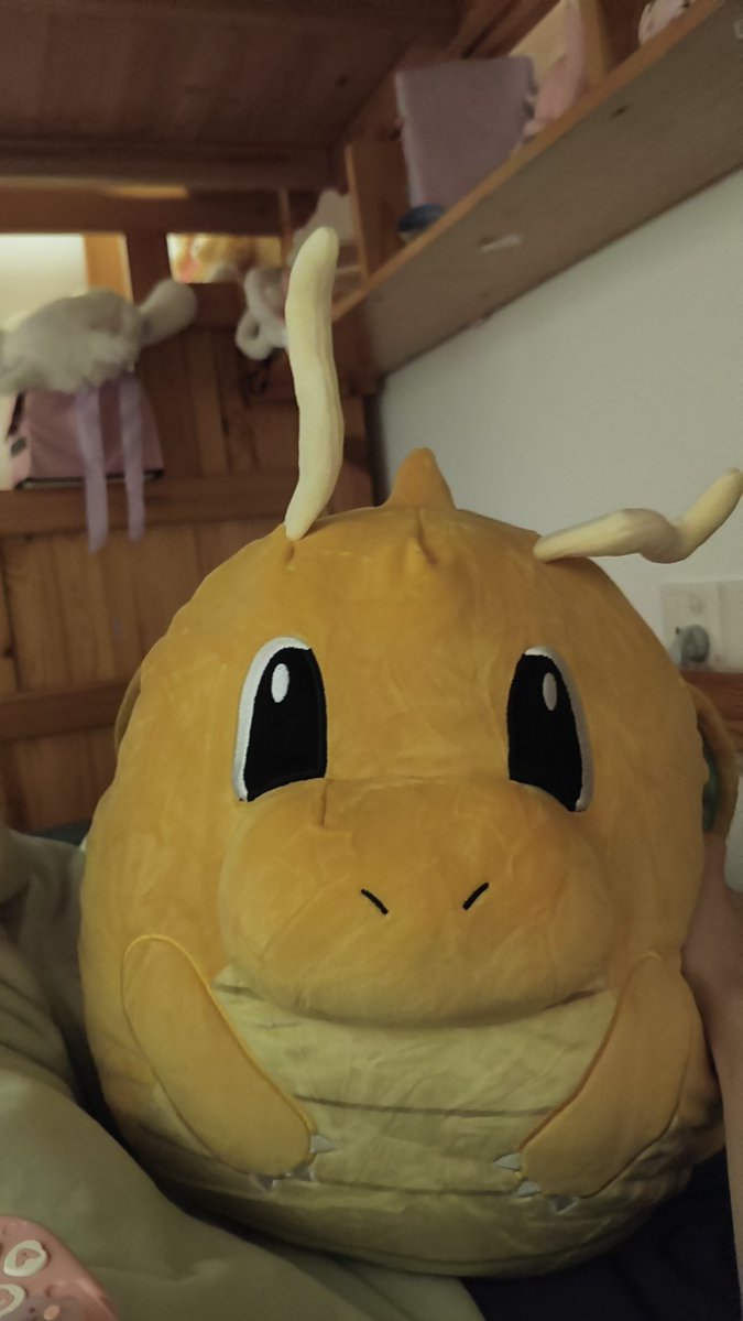Perts666's tweet photo. 哇这个好萌，我只有marill和dragonite https://t.co/LY5B0Iro1H