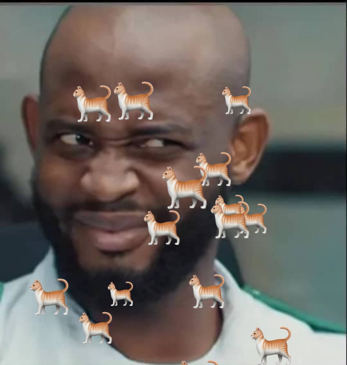 icamemainoo's tweet photo. whenever you scroll WhatsApp and see someone with a reaction status, just reshare it on your updates

and for good effects make sure you post something else after it, so that they click to skip to the next post, that’s the trap! It reacts and you get notified even if their read receipts or yours is off