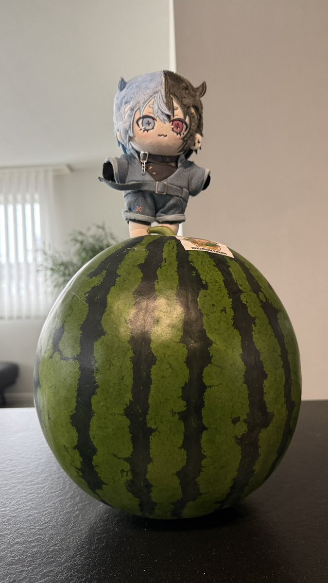 dancyo_v's tweet photo. 今日は桜巳マオくんの活動2周年の日！おめでとー！！
そして新衣装お披露目の日！
夜はマオくんのチャンネルにみんな集合だー！🐍🌸

これはマオくんからこの前もらった、でっかくてあまーいスイカ🍉🍉🍉

 #桜巳マオ https://t.co/Ti8Pa6xC3d