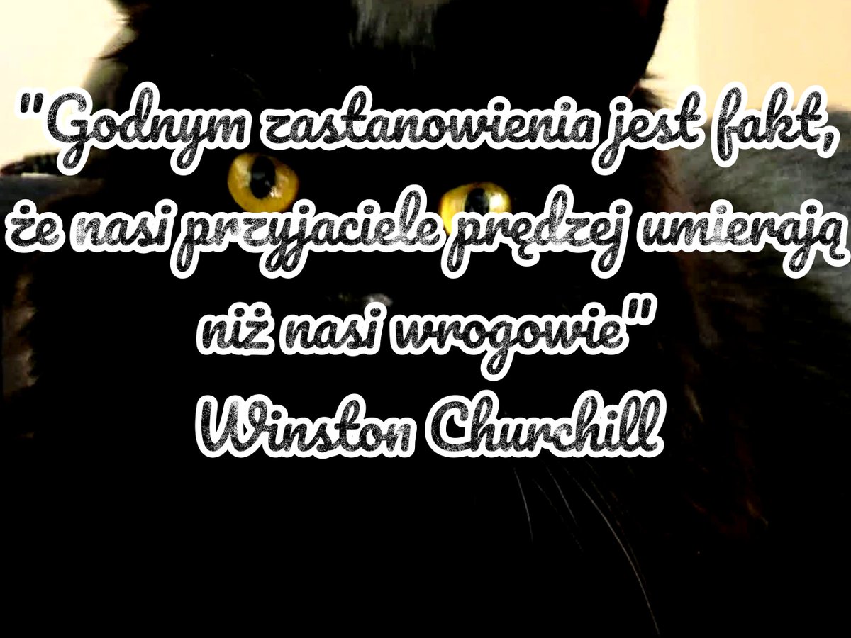 ZbigniewDabrowa's tweet photo. ✍️ Cytat dnia:
"Godnym zastanowienia jest fakt, że nasi przyjaciele prędzej umierają niż nasi wrogowie" — Winston Churchill https://t.co/Vt7Vya4ycp