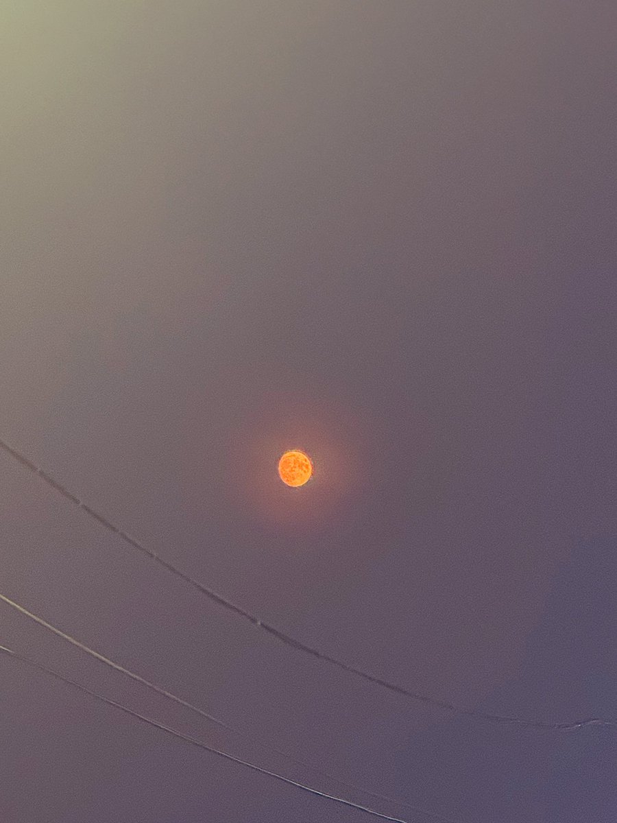 justlikepetal's tweet photo. the moon tonight ⋆˖⁺‧₊☽◯☾₊‧⁺˖⋆ https://t.co/eqeflrO1Mb