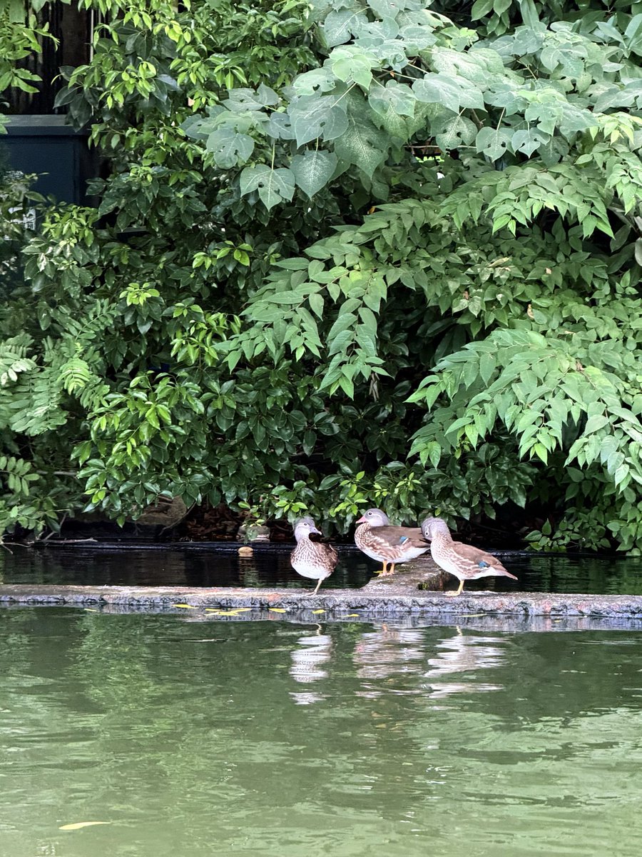 doris_dan56850's tweet photo. Welcome to the West Lake, Hangzhou，China https://t.co/nQAu4DTjiI