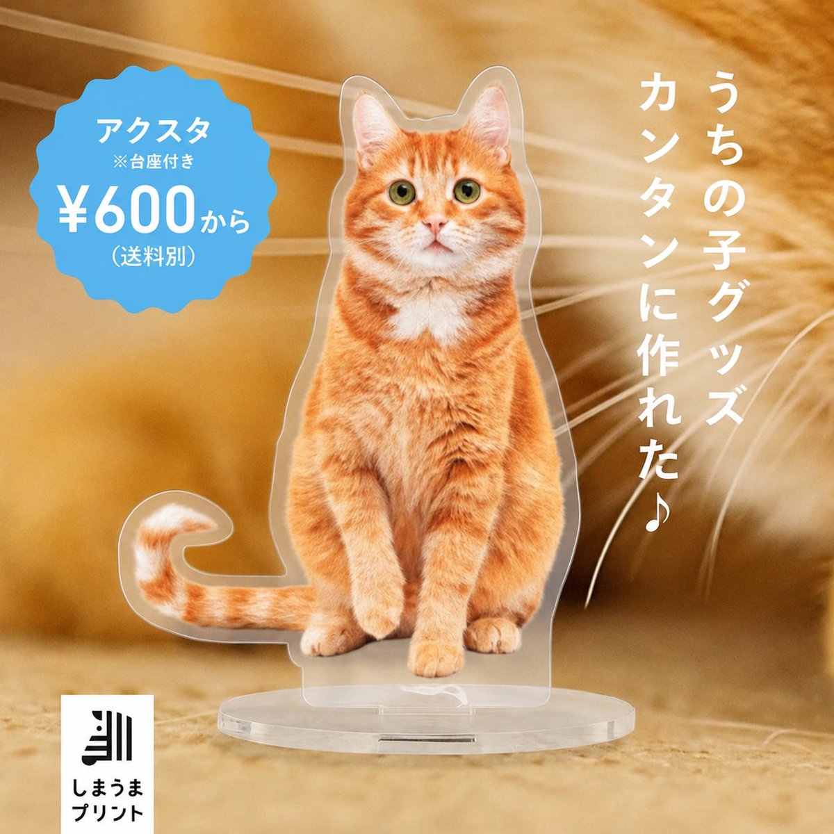 shimauma_plus's tweet photo. 思わず撮った、愛らしい姿の数々――今だけの“かわいい瞬間”を、アクリルスタンドにして飾ろう。
スマホの写真1枚からつくれて、ギフトにもぴったり。
世界にひとつ、我が家だけの思い出を、高品質で。