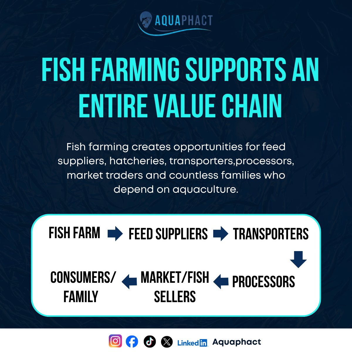 Aquaphact_'s tweet photo. Behind every healthy fishis a farmer makingcountless decisions
every day. Frommaintaining water qualityto monitoring fish health,
those decisions don't justaffect one pond but theyfeed families, support
local businesses andstrengthen food security. https://t.co/UzPE5gh2lf