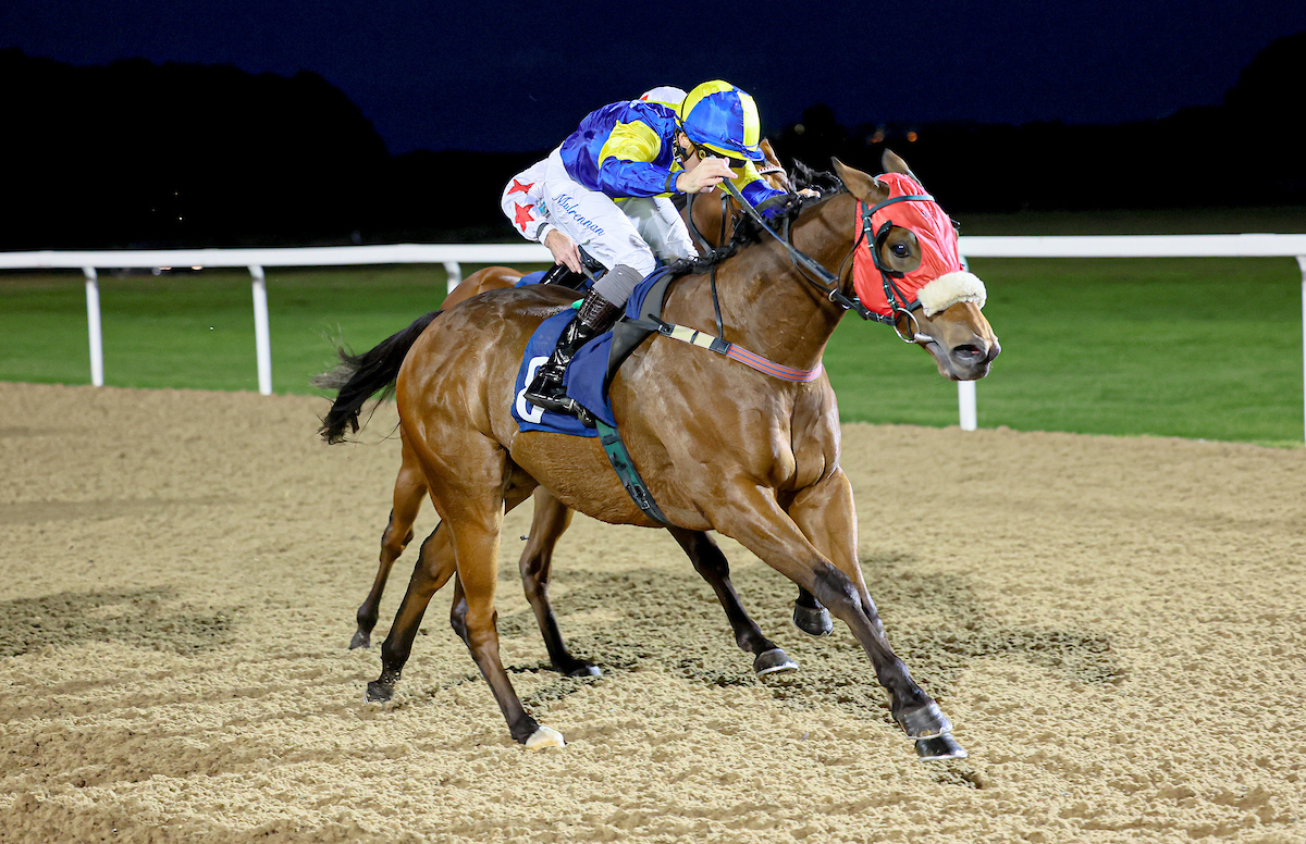 mdodsracing's tweet photo. Four runners today at three different tracks. Imperial Guard bids for a hat-trick at @ayrracecourse, followed by King of Fury at @Southwell_Races, then Brain Freeze and Zuffolo at @RiponRaces tonight. Good luck to everyone involved. https://t.co/1kuEulapoD