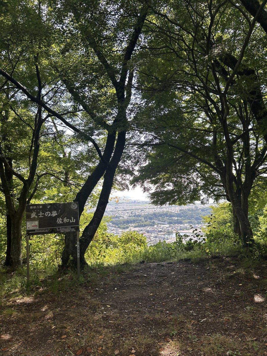 mtnr156's tweet photo. 佐和山城🏯♡本丸跡で癒されてきた⊂(  ･ω･ )⊃でも暑すぎる〜〜〜 https://t.co/tltYRBAzUQ