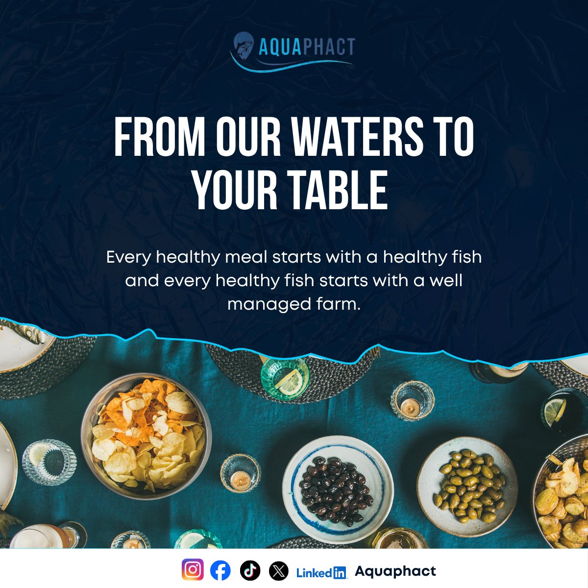 Aquaphact_'s tweet photo. Behind every healthy fishis a farmer makingcountless decisions
every day. Frommaintaining water qualityto monitoring fish health,
those decisions don't justaffect one pond but theyfeed families, support
local businesses andstrengthen food security. https://t.co/UzPE5gh2lf