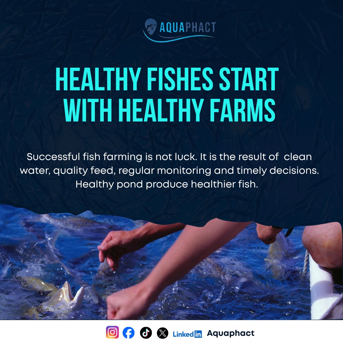 Aquaphact_'s tweet photo. Behind every healthy fishis a farmer makingcountless decisions
every day. Frommaintaining water qualityto monitoring fish health,
those decisions don't justaffect one pond but theyfeed families, support
local businesses andstrengthen food security. https://t.co/UzPE5gh2lf