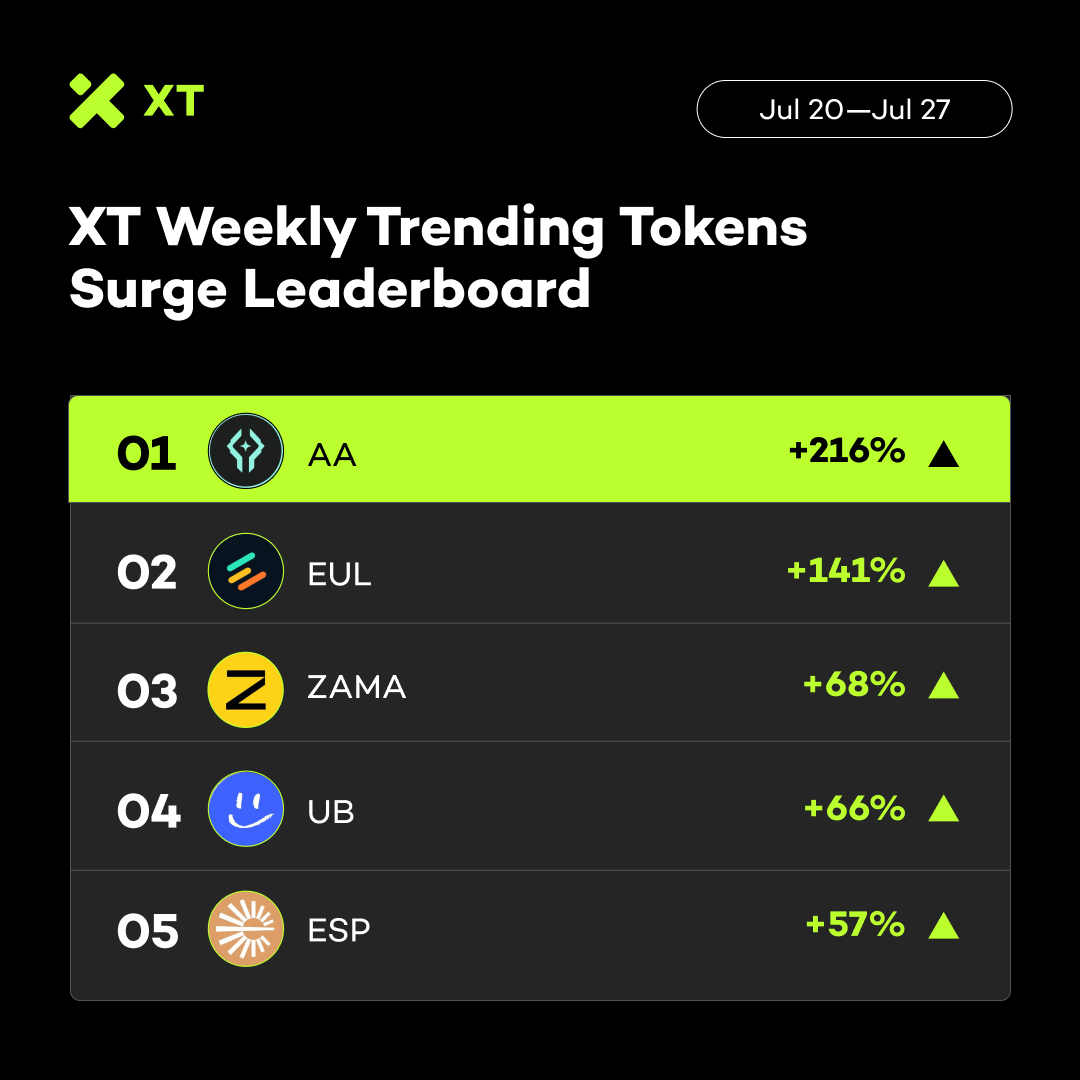 XT Exchange 🚀 tweet media