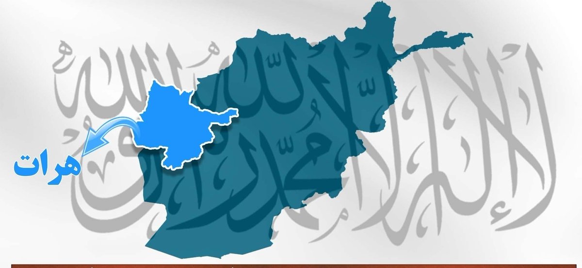 press43278's tweet photo. صنعت‌کاران هرات روزانه ۱۷۵۰ تُن بادنجان رومی را از دهقانان خریداری می‌کنند

شیخ مولانا اسلام‌جار والی هرات با رئیس اتاق صنایع و معادن هرات و شماری از صنعت‌کاران این ولایت دیدار و گفت‌وگو کرد.

4\1 https://t.co/qORQWYpbZ3