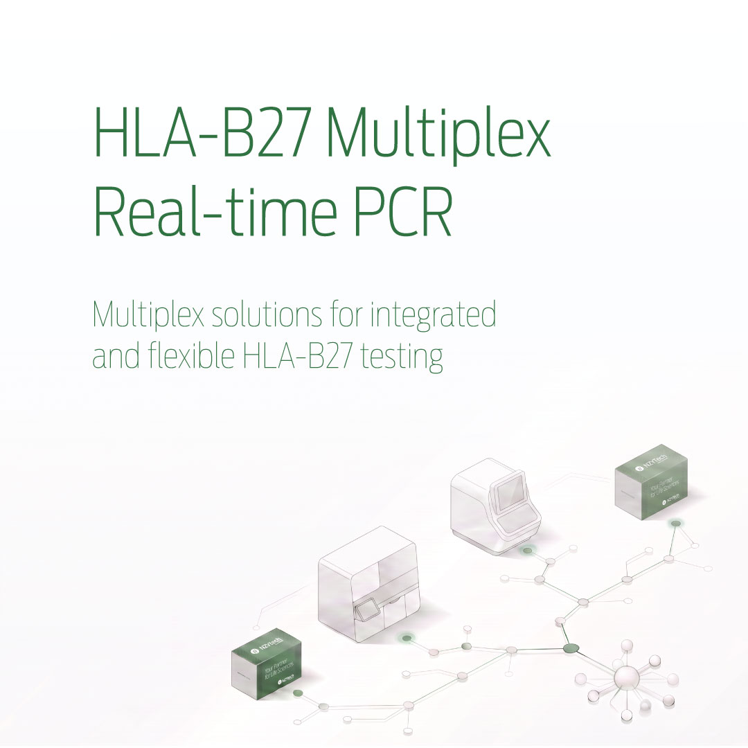 NZYTech's tweet photo. Reliable HLA-B27 detection starts with the right assay.

Detect clinically relevant HLA-B27 alleles with NZYtech's multiplex PCR solutions, available for the Alinity m System and compatible real-time PCR platforms.

https://t.co/042aBBXgqf https://t.co/HNLKJLj6f9