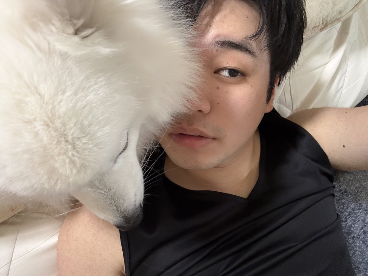 So486622's tweet photo. 携帯操作妨害常習犯。🐩 https://t.co/EU2dibGEQL