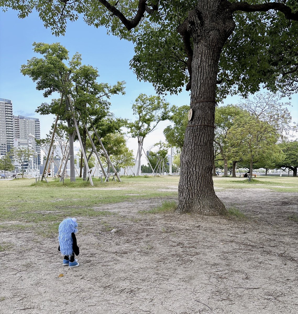 nksn0202's tweet photo. 「セミがウィンウィン鳴いてるねぇ」

#パペットスンスン #スンスン https://t.co/Iov7qqdOQO
