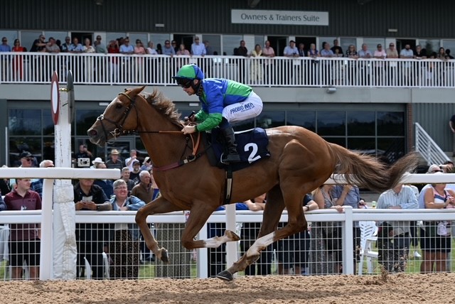 mdodsracing's tweet photo. Four runners today at three different tracks. Imperial Guard bids for a hat-trick at @ayrracecourse, followed by King of Fury at @Southwell_Races, then Brain Freeze and Zuffolo at @RiponRaces tonight. Good luck to everyone involved. https://t.co/1kuEulapoD