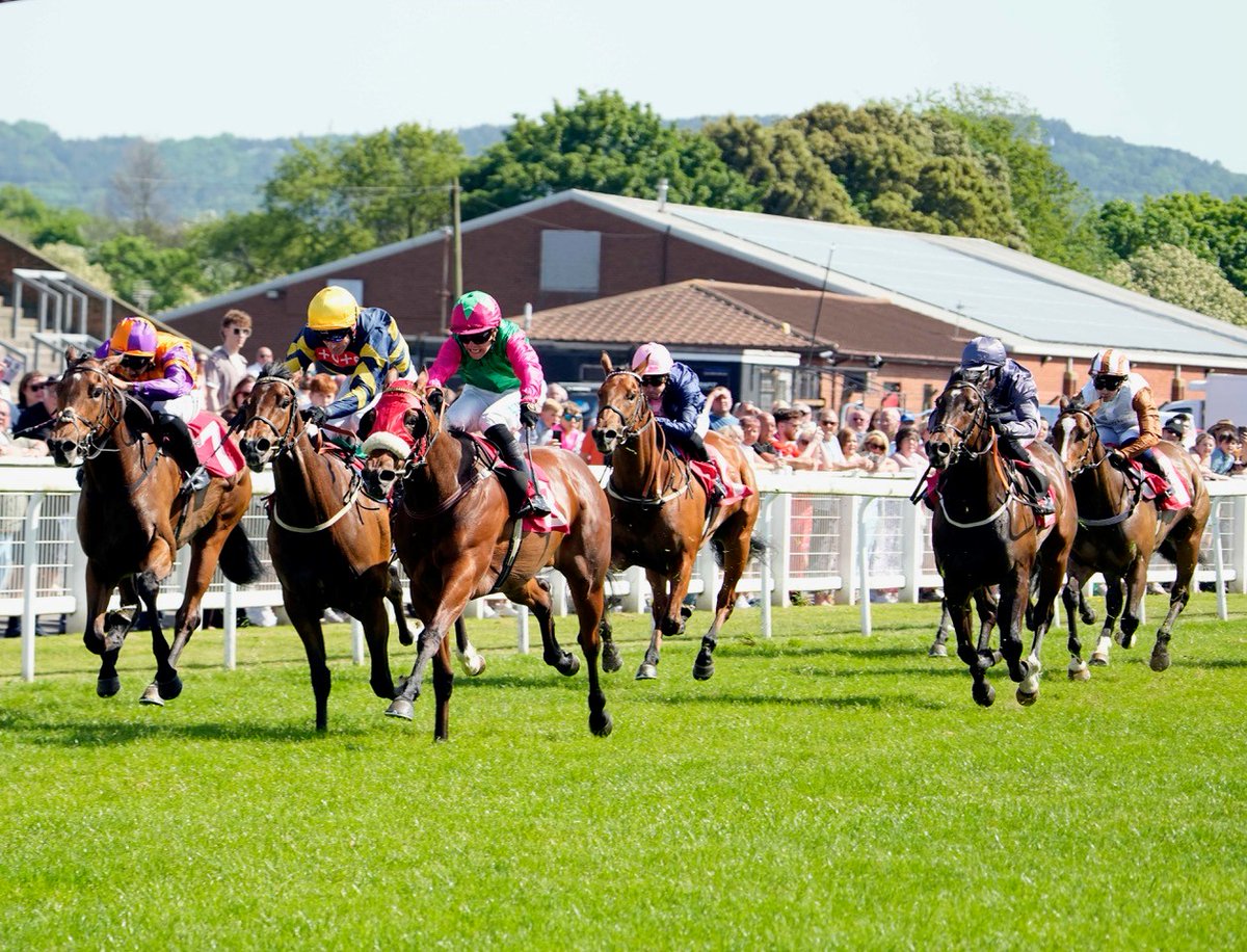mdodsracing's tweet photo. Four runners today at three different tracks. Imperial Guard bids for a hat-trick at @ayrracecourse, followed by King of Fury at @Southwell_Races, then Brain Freeze and Zuffolo at @RiponRaces tonight. Good luck to everyone involved. https://t.co/1kuEulapoD