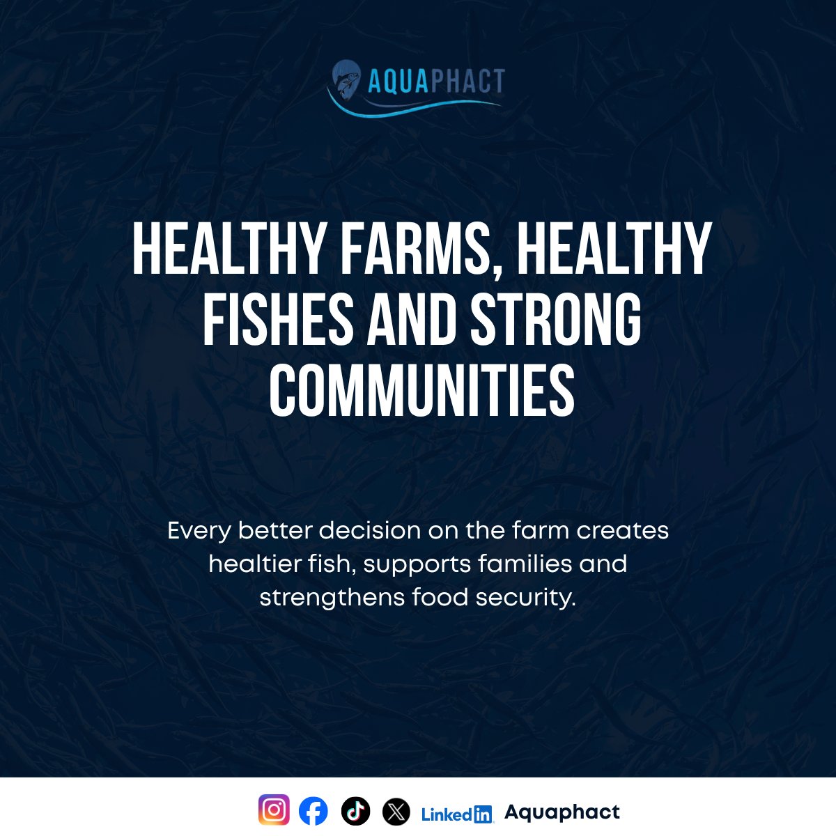 Aquaphact_'s tweet photo. At Aquaphact, we are
committed to makingthose decisions easierwith practical knowledge
and AI assisted tools. https://t.co/6yW8jvYR8g