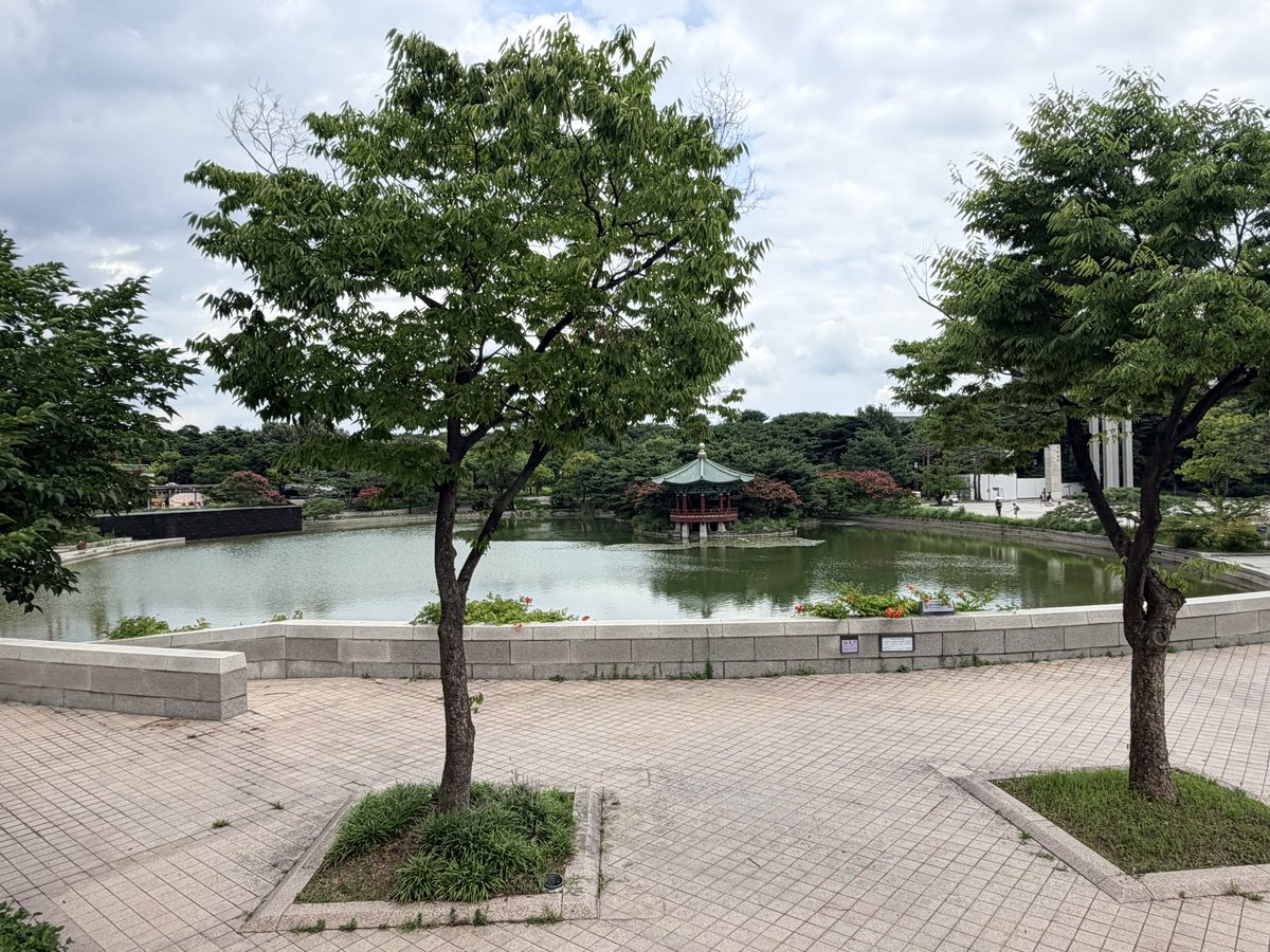 moko_Hwang's tweet photo. スタンディング参加翌日⋯
またしてもお腹壊しまして
お昼まで部屋にこもり
午後から行きたかった博物館に行って来ました☺️
ただ、バッキバキの私の身体は1hが限界だった…
もっとゆっくり見たかった(´._.`)
そして帰りコケて（恥）膝と足の爪から流血⋯
🚎移動したかったけど、🚕移動です😗どんまい！ https://t.co/Kv0lr6HU2Z