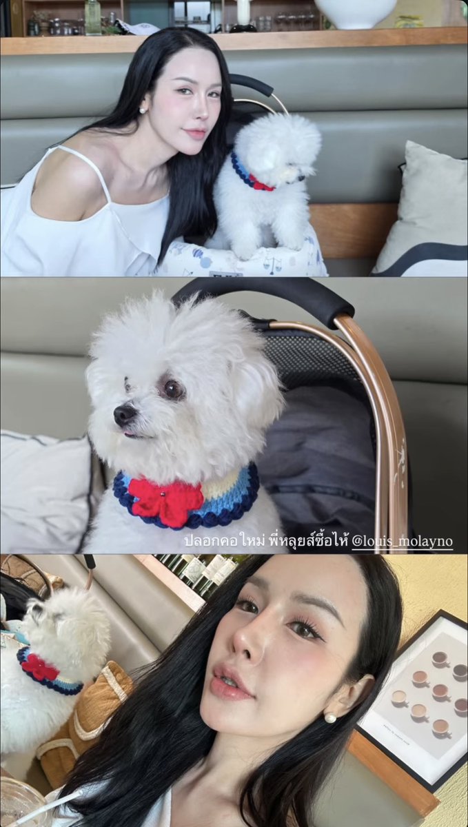 _alifyou7's tweet photo. เต้าหู้แฮปปี้มากก🐶🤏🏻 ( #itstofuka ) https://t.co/UbsLxQkf90