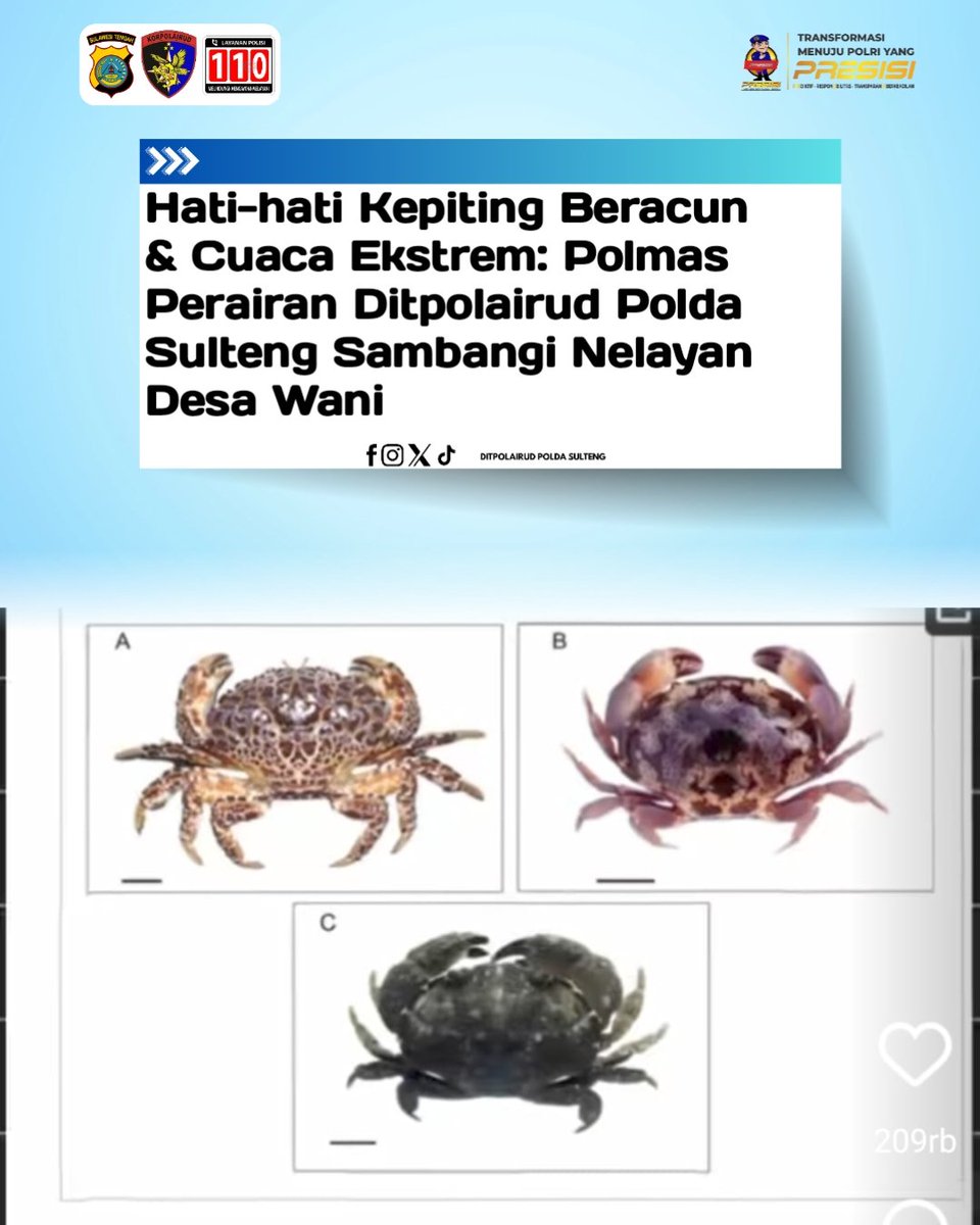 polairsulteng's tweet photo. Hati-hati Kepiting Beracun &amp; Cuaca Ekstrem: Polmas Perairan Sambangi Nelayan Desa Wani https://t.co/NBfRzCI0Pl
