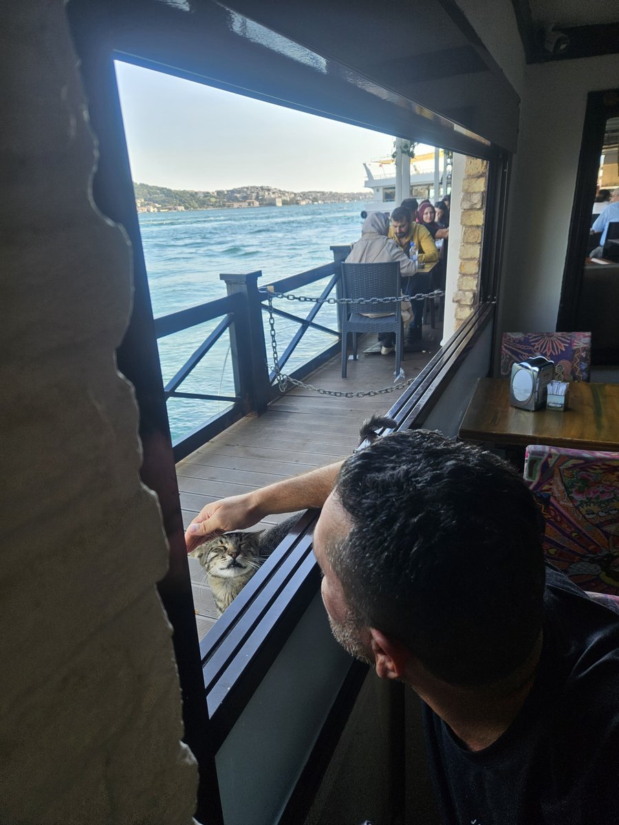 Gokbiloz's tweet photo. Bir canlının size güvenip iletişim halinde bu denli mutlu ve kendisini güvende hissetmesi insan olana çok büyük mutluluk ve huzur.

Not: Ne kadar hayvan düşmanı varsa A.A.K… https://t.co/CHVhZJeHZQ