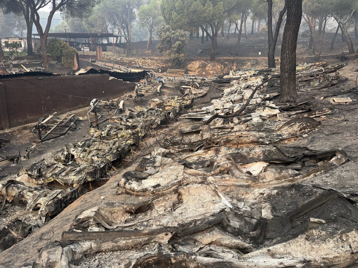 alejandrogueztv's tweet photo. Impactante imagen del Club Náutico en el Pantano de San Juan. Embarcaciones, lanchas, oficinas, taller… Todo calcinado. En este negocio nada ha sobrevivido. Consecuencias del peor incendio de la historia de nuestro país #IFSierraOeste https://t.co/iCoPsQvfXC