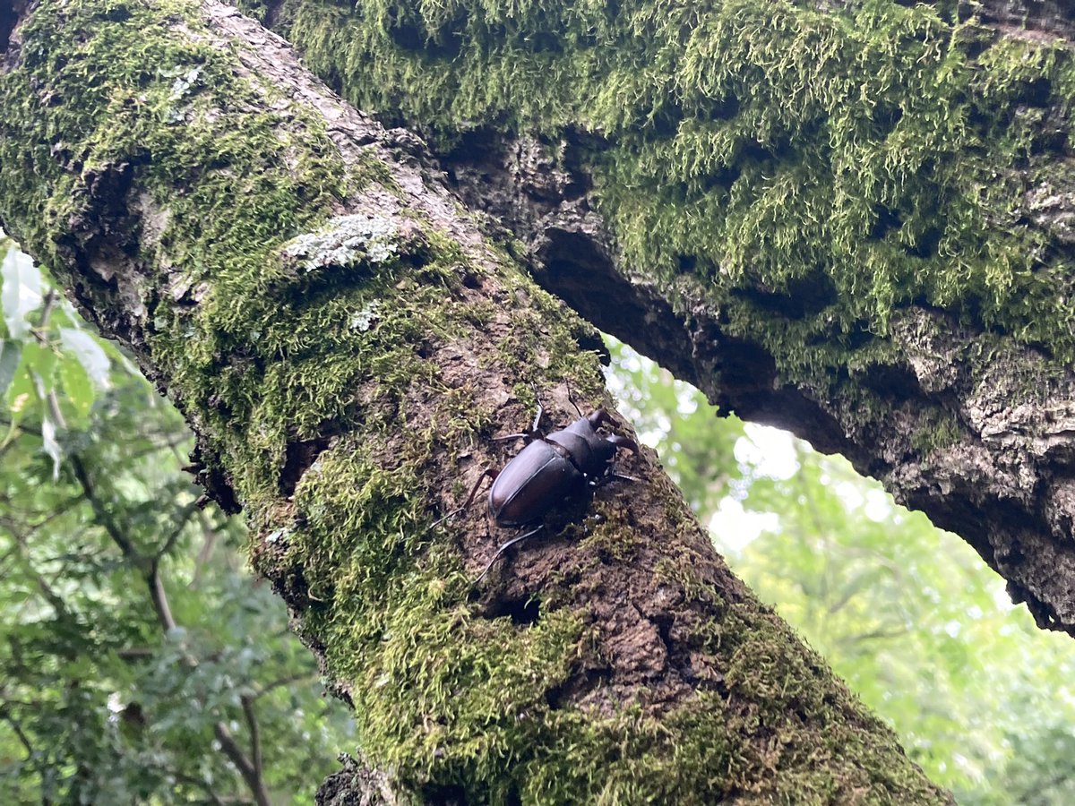 さっちゃんページ かなりお気に入りの写真。